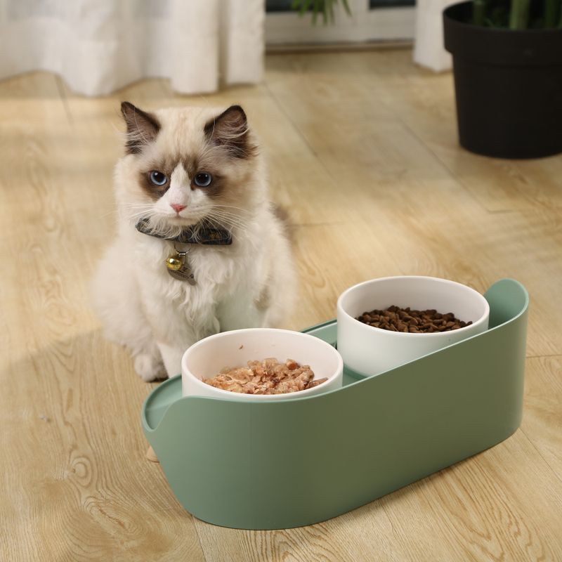 Dobbel design hundeskål og katteskål med stativ
