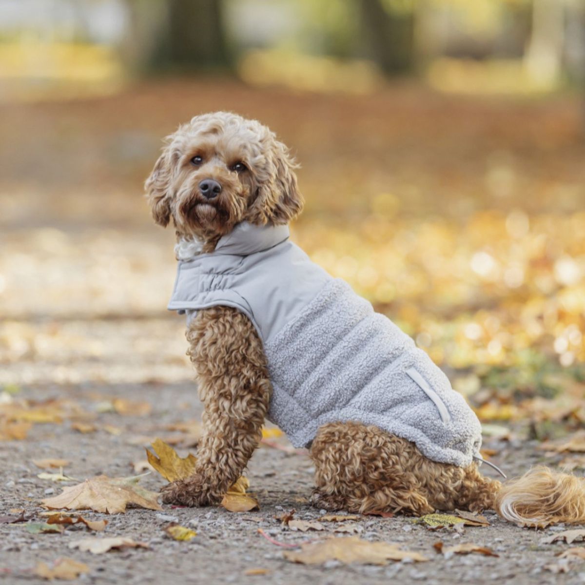 Beige teddy vinterdekken til hund