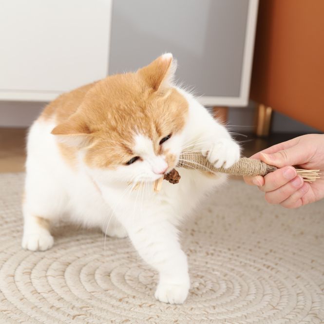 Hovedbilde Cat stick katteleke med poligonum ca 25 cm