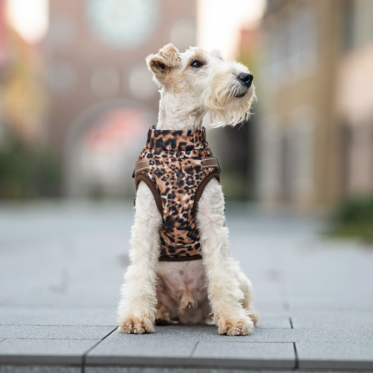 Leopard print hundedekken med integrert sele