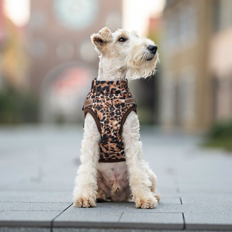 Leopard print hundedekken med integrert sele