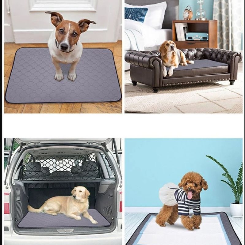 Absorberende Matte for Hund og Katt - Gjenbruks tisseteppe / puppypads
