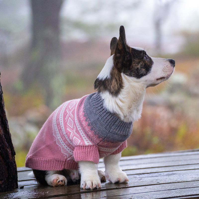Rosa Mariusgenser for hund® 70% ull