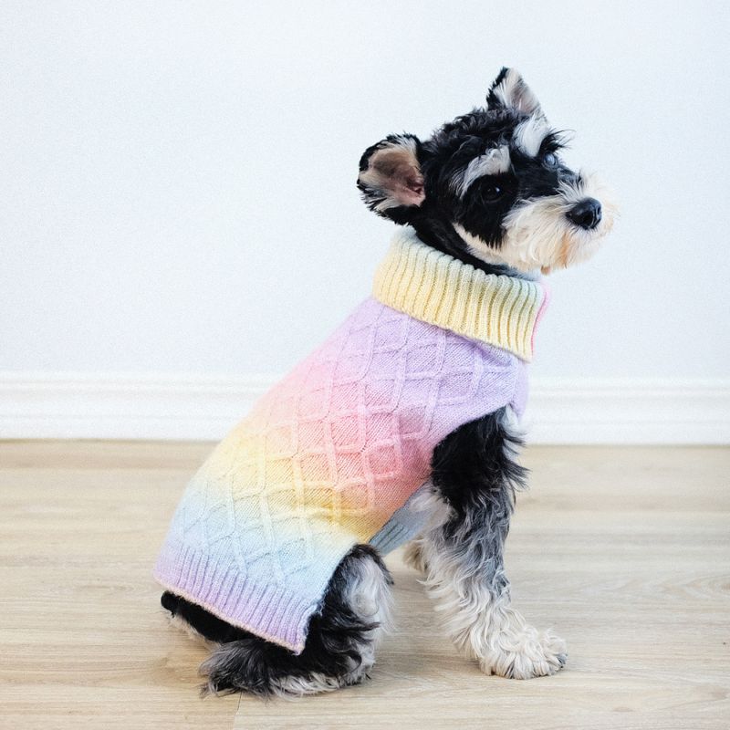 Pastell regnbue ombre strikket hundegenser 