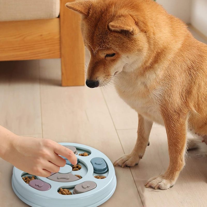 Blå rund hjernetrim for hund - Aktivitetsleke for mental trening