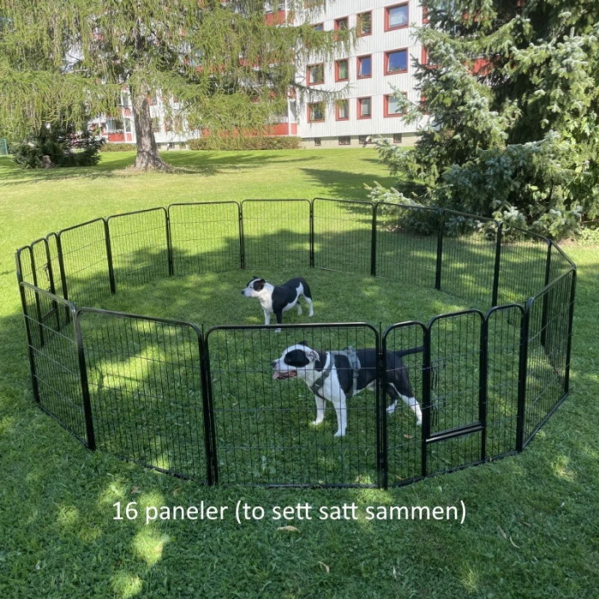 Hundegjerde til hage og innebruk med 8 paneler - 81 cm høyt