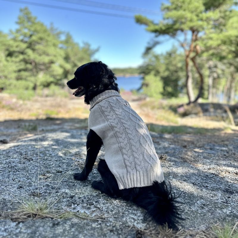Beige strikket hundegenser 