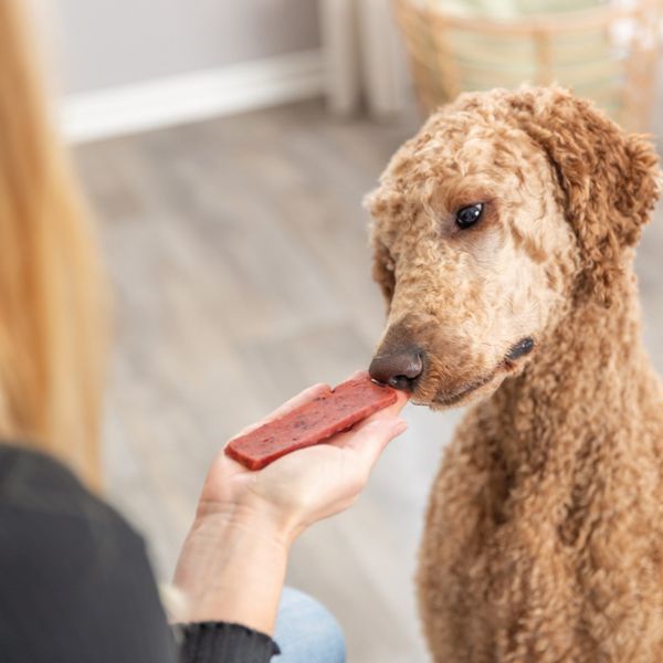 Hovedbilde PREMIO Fileter med biff til hund
