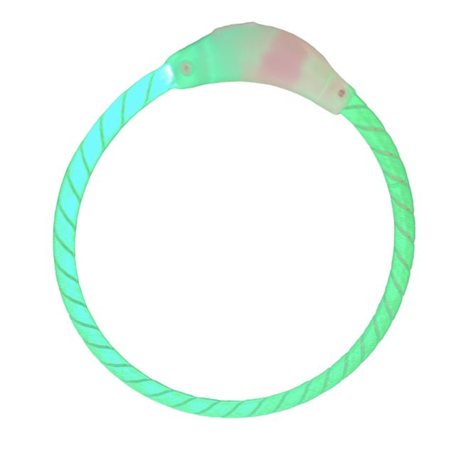 Hovedbilde Small MAX Flashband LED-ring til hund (ca 35cm) Grønn