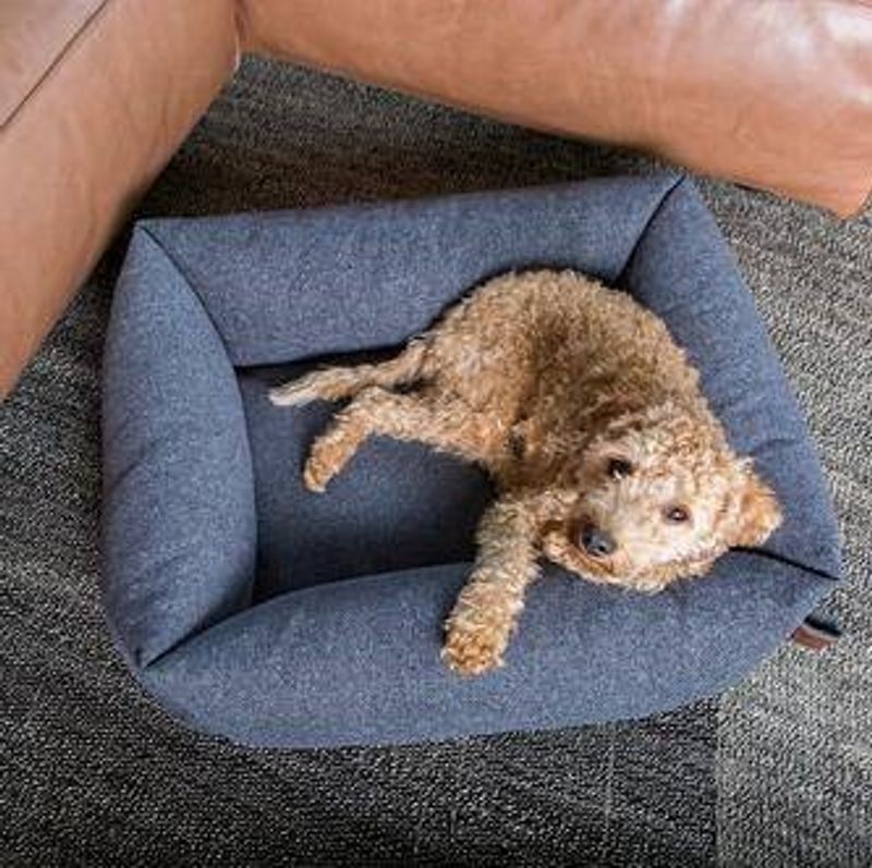 Fantail hundeseng Snug Origin Epic Gray, Str S: 70 x 55 cm