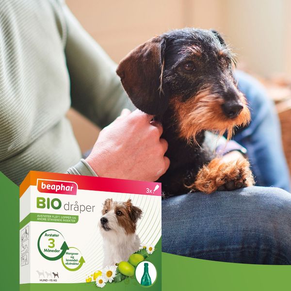 Hovedbilde Small: Bio Spot On flått og innsektsmiddel til Hund opptil 15kg