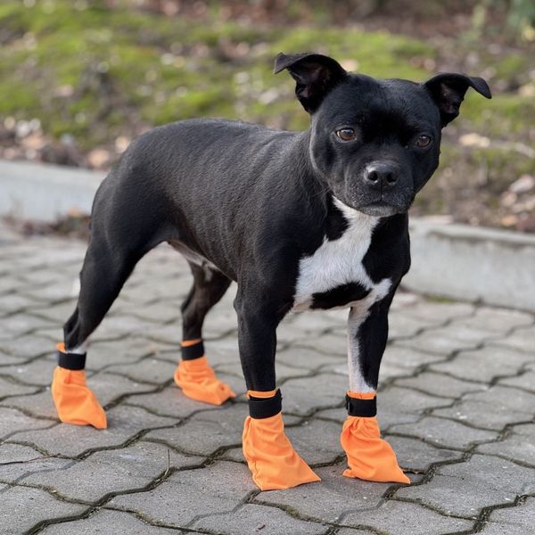 Hovedbilde Oransje potesokker 4pk (6 størrelser)