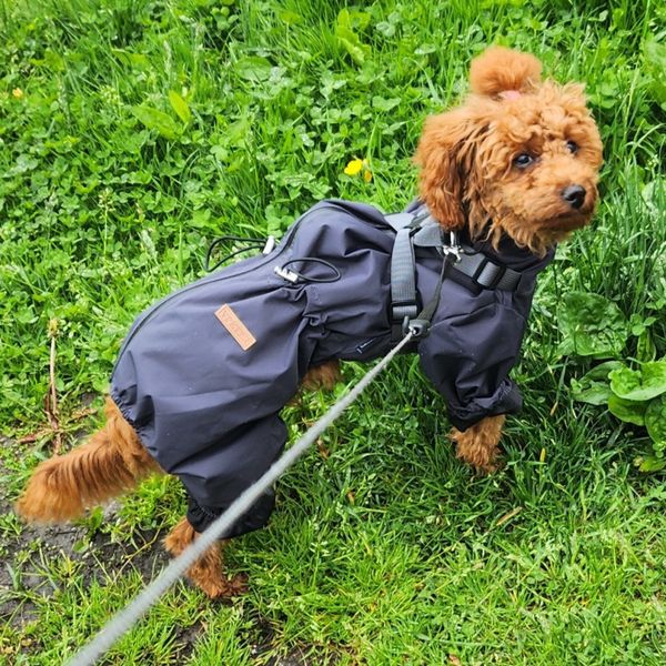 Hovedbilde Grå fire-bens overall til hund, hundedress som er vann- og vindtett